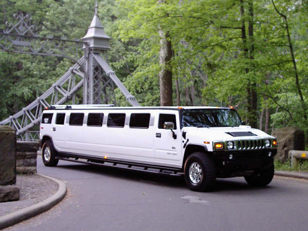 buy a hummer crush a prius